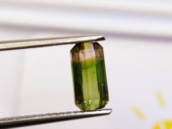 Tourmaline Watermelon 2.59 CT