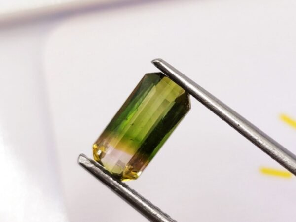Tourmaline Watermelon 2.59 CT