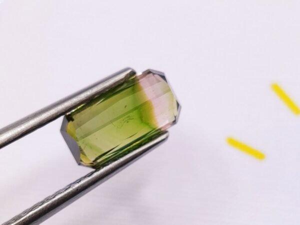 Tourmaline Watermelon 2.59 CT
