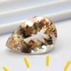 Morganite 9.70 CT