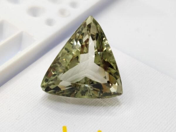 Prasiolite 18.21 CT