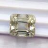 Prasiolite 8.67 CT