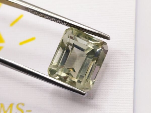 Prasiolite 8.67 CT