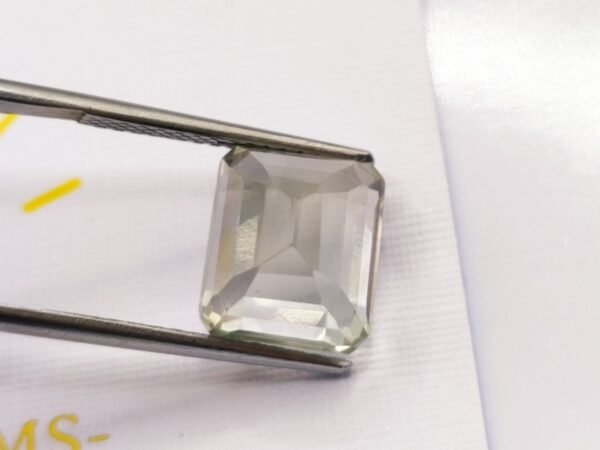 Prasiolite 8.67 CT