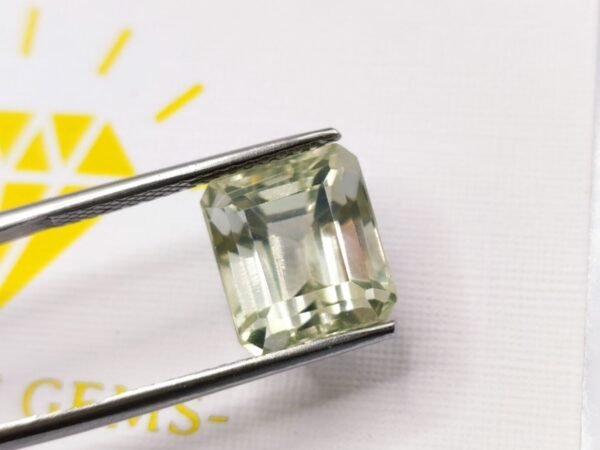 Prasiolite 8.67 CT