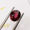 Rhodolite 2.60 CT