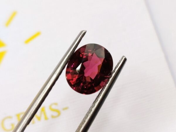 Rhodolite 2.60 CT