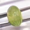 prehnite green cabochon 23.92 carats