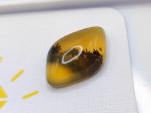 opale dendrite orange fancy cabochon cut 9.22 carats