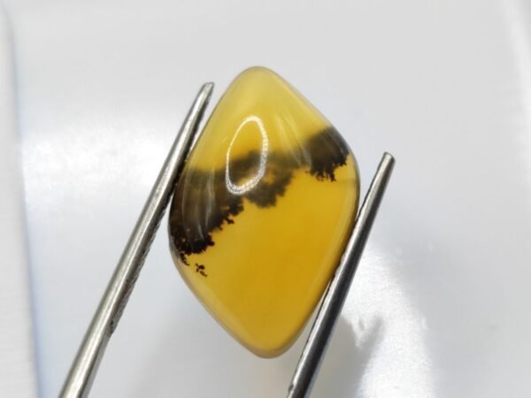 opale dendrite orange fancy cabochon cut 9.22 carats