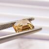 Topaze 5.11 CT