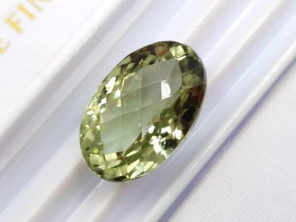 Prasiolite 18.98 Cts