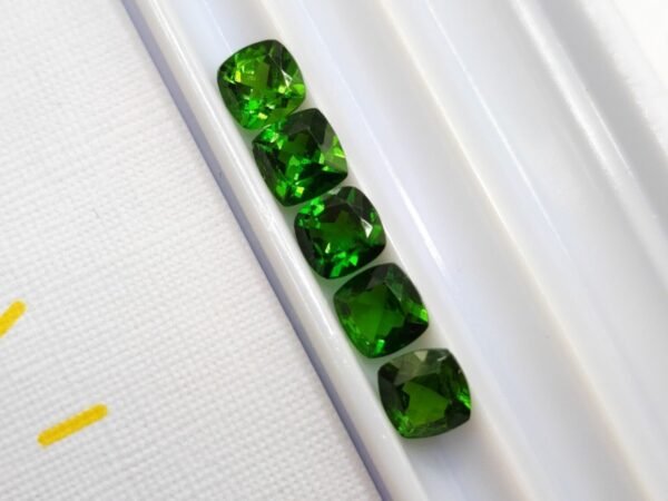 Chrome Diopside 2.84 Carats