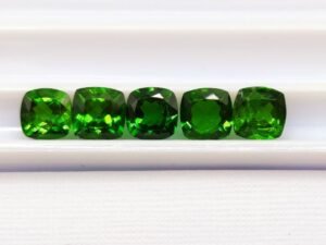 Chrome Diopside 2.84 Carats