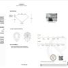 Diamant 1 Carat G VVS2 IGI