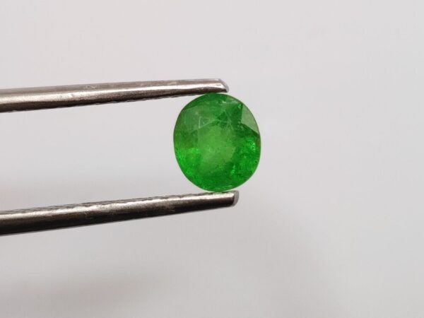 1.04 ct Tsavorite - The Fine Gems 1.04 ct Tsavorite - The Fine Gems - oval cut natural precious green gemstone - tsavorite garnet from kenya