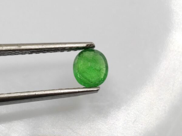 1.04 ct Tsavorite - The Fine Gems 1.04 ct Tsavorite - The Fine Gems - oval cut natural precious green gemstone - tsavorite garnet from kenya
