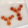Natural mandarin spessartite garnet from namibia , round cut - natural precious gemstones