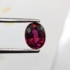 Rhodolite 1.90 Carat - The Fine Gems - natural pink cherry garnet oval cut