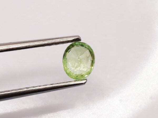 Tsavorite 0.90 Carat - The Fine Gems natural tsavorite garnet - oval cut , green gemstone