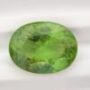 Natural Peridot 24.53 Carats - The Fine Gems - green gemstone for jewelry and collection