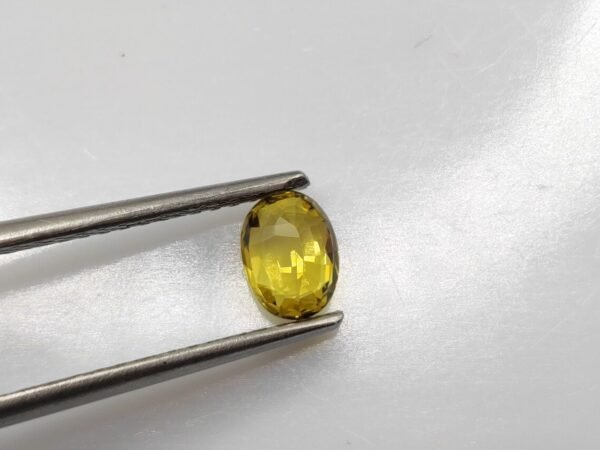 Alexandrite 1.04 Carat - The Fine Gems Alexandrite 1.04 Carat - The Fine Gems - taille ovale - Pierre précieuse